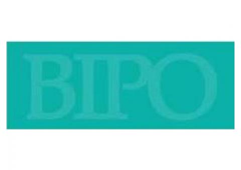 B I P O (Bermuda International Professional Organizing)