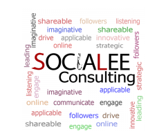 SociaLEE Consulting