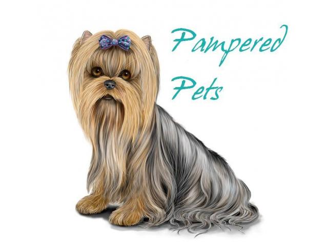 Pampered Pets