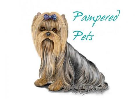 Pampered Pets